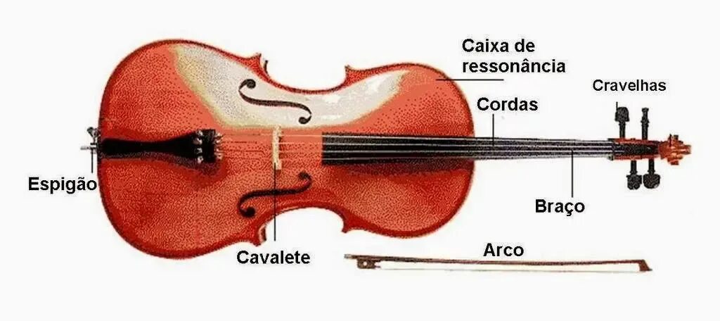 Части скрипки. Конструкция виолончели. Строение скрипки. Строение виолончели. Схема скрипки