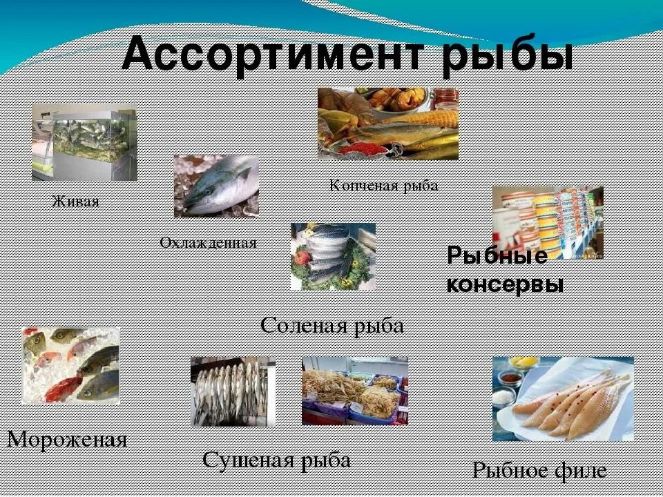 Группы соленой рыбы. Классификация рыбной продукции. Классификация рыбы и рыбных продуктов. Рыбная продукция ассортимент. Рыба в ассортименте.