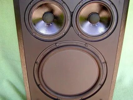 Polk105 tg