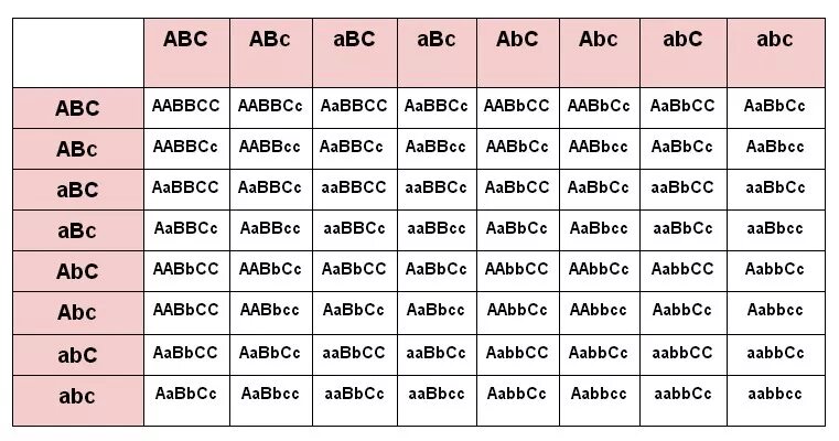 Гамет генотипа aabbcc. Решетка Пеннета Тригибридное скрещивание. Решетка Пеннета для тригибридного скрещивания. Таблица Пеннета AABBCC AABBCC. Решетка Пеннета для 3 признаков.