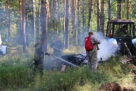 Лесничество пожар
