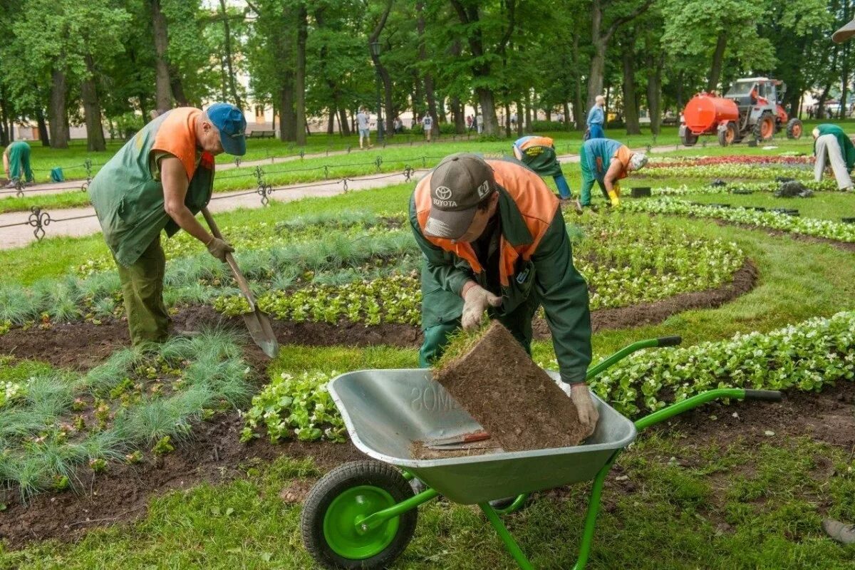 На выполнение работ по благоустройству города. Озеленение и благоустройство территории. рабочий по озеленению и благоустройству. рабочий по благоустройству. услуги по озеленению и благоустройству территорий.