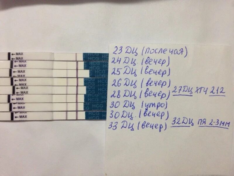 27 День цикла покажет ли тест беременность. 23 День цикла тест на беременность. 23 День цикла тест положительный. На 23 день цикла тест покажет беременность. Тест 28 29