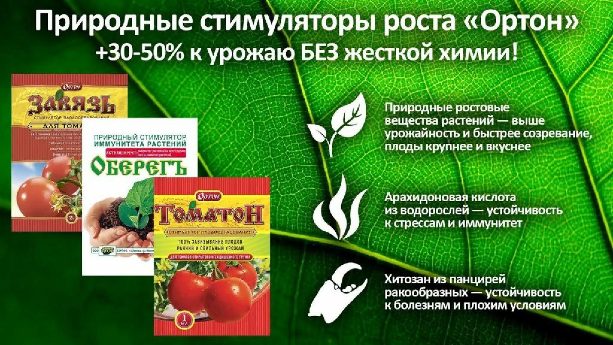 Подкормка растений удобрениями. Подкормка растений рецепт. Подкормка для цветов из банановой кожуры. Подкормка растений рецепт. Внесение удобрений на свекле.