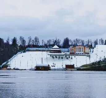 Снег медведеву