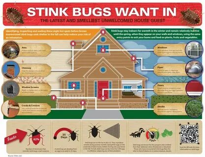 Get those bugs