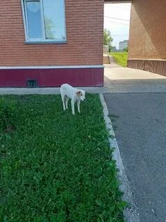 Подслушано юрга