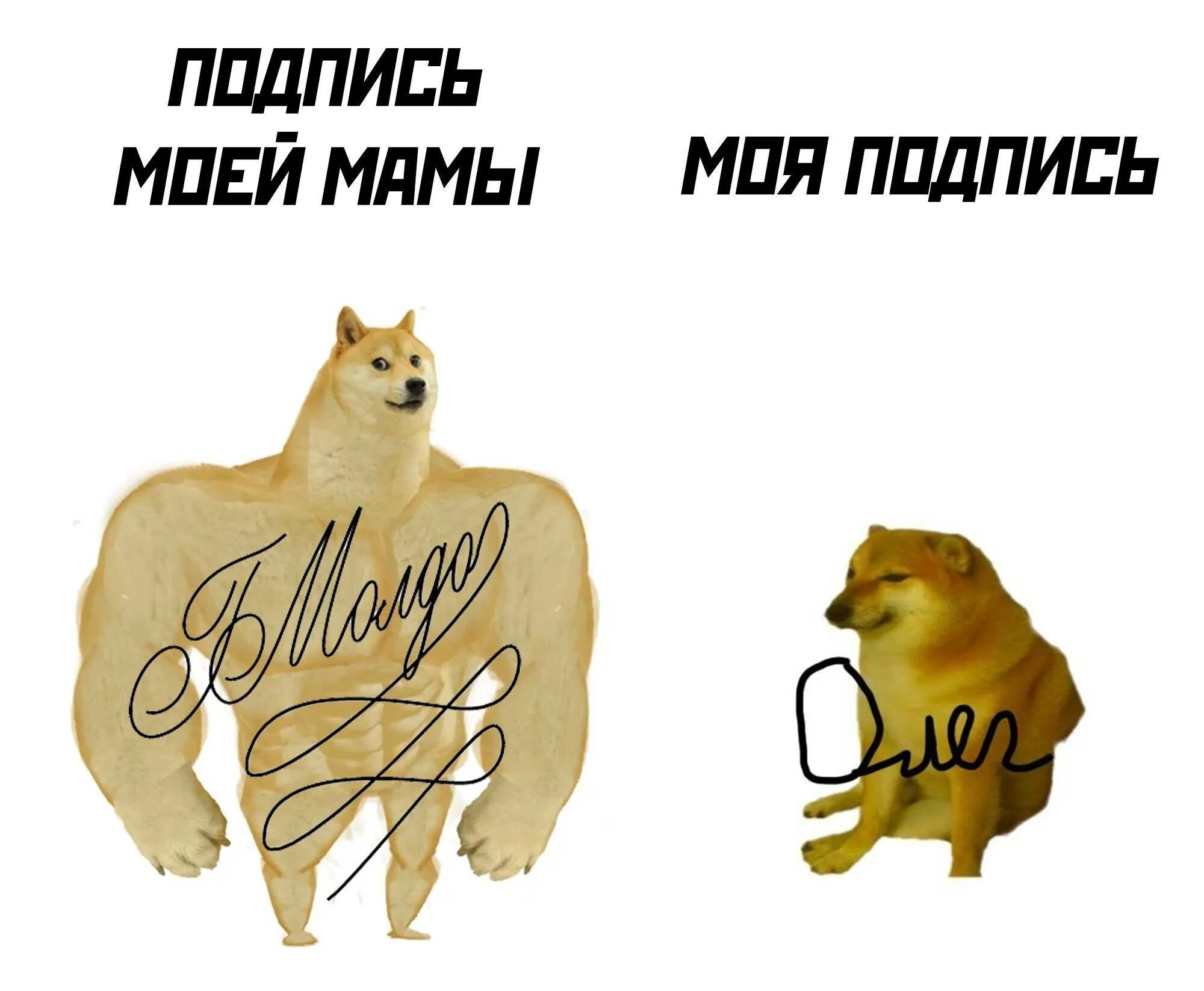 Картинке с их подписями