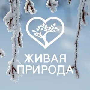 Канал живая природа