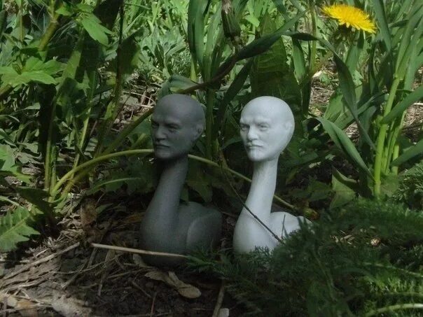 Гуси ленины мем. Насыбуллова маяна ленин-уточка. Гуси ленины мем. Гуси ленины. Скульптура гуси ленины.