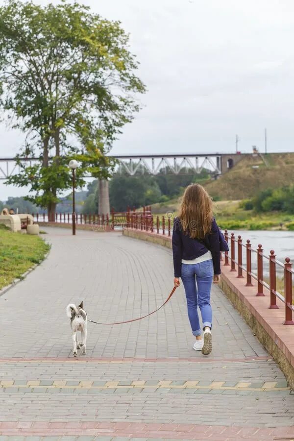 Собака вышла погулять. Девушка гуляет с собакой. Девушка прагулка с собака. Двушка гуляет с собакой. Фотосессия прогулка с собакой.