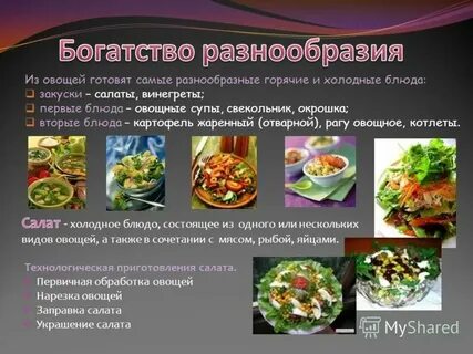 Перечислите виды блюд