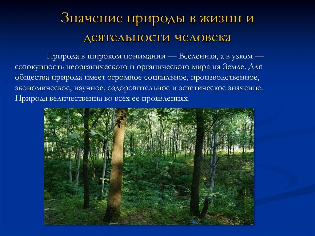 Природное человечество является. Значение природы в жизни. Значимость природы для человека. Значимость природы в жизни человека. Значение природы в жизни и деятельности человека.