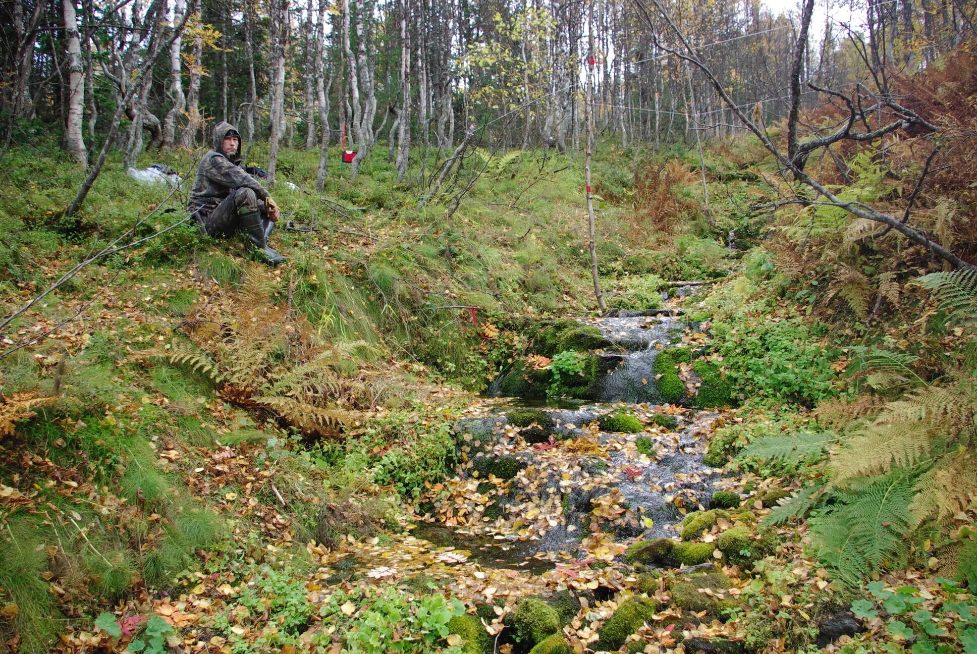 Овраги в волгограде. Ловля в пересохших оврагах. В овраге герои. В овраге герои. Онучин овраг река.