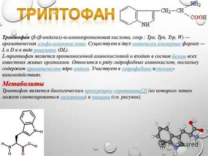 Кислота триптофан