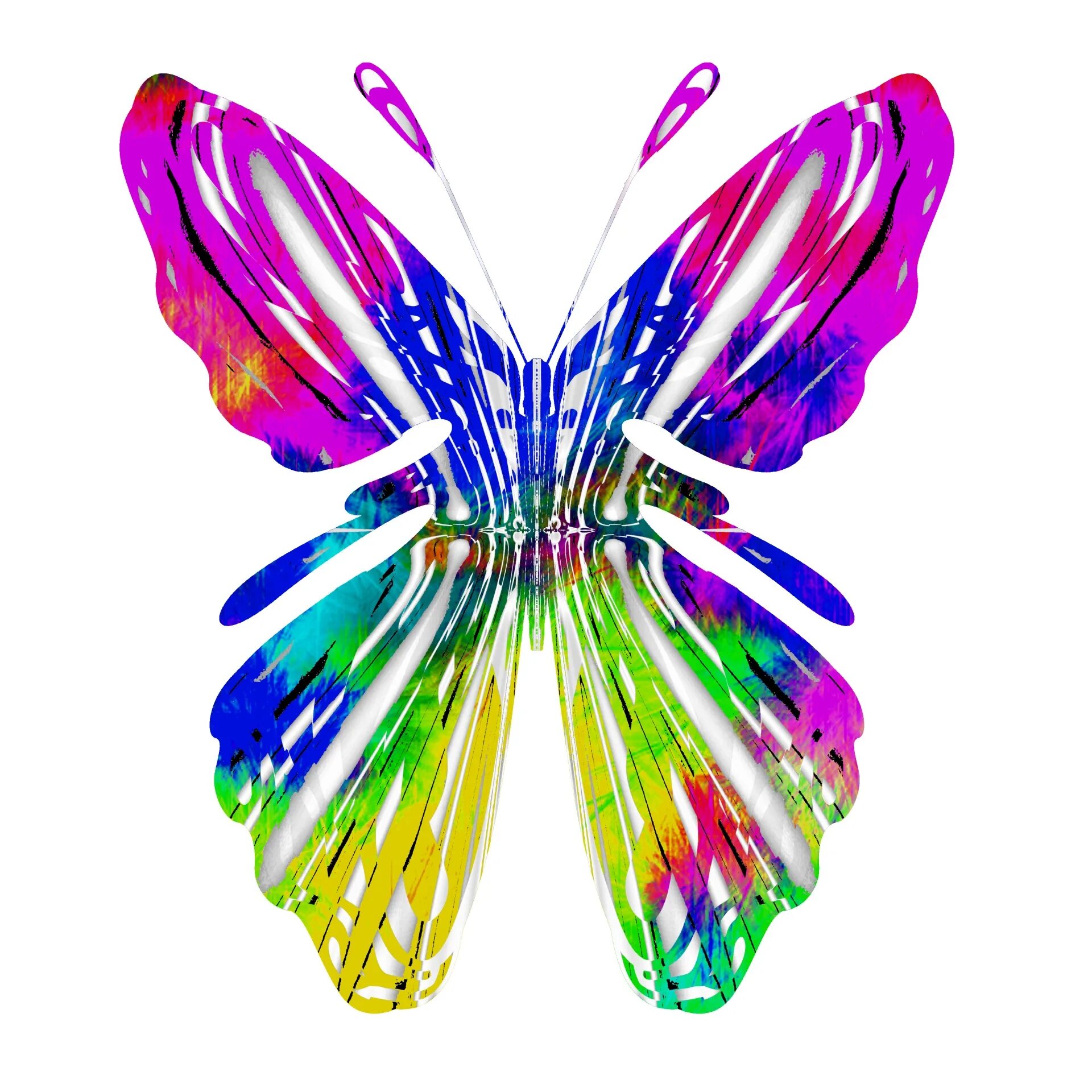 Разноцветные бабочки. Бабочки цветные. Радужная бабочка. Многоцветные бабочки.