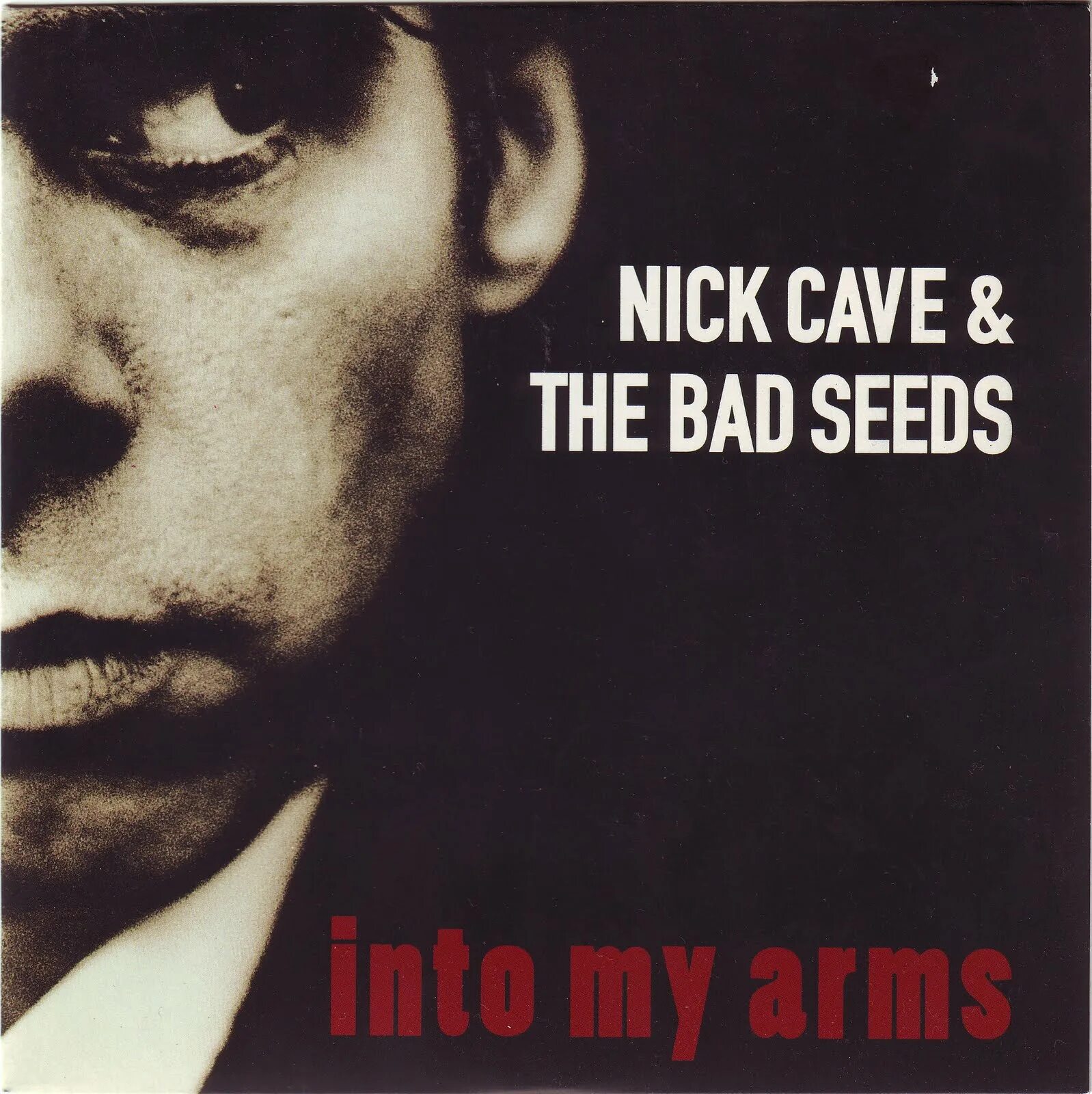 Nick музыка. Ник Кейв & the Bad Seeds. Nick Cave and the Bad Seeds CD. Nick Cave & the Bad Seeds the Boatman's Call обложка. "Nick Cave & the Bad Seeds" "into my Arms".
