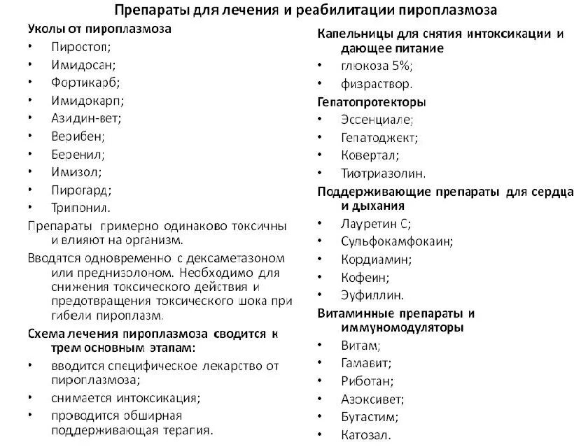 Пироплазмоз после лечения. Схема лечение при бабезиозе у собак. Схема лечения от пироплазмоза у собак. Пироплазмоз собак схема лечения. Схема лечения Ветеринария.