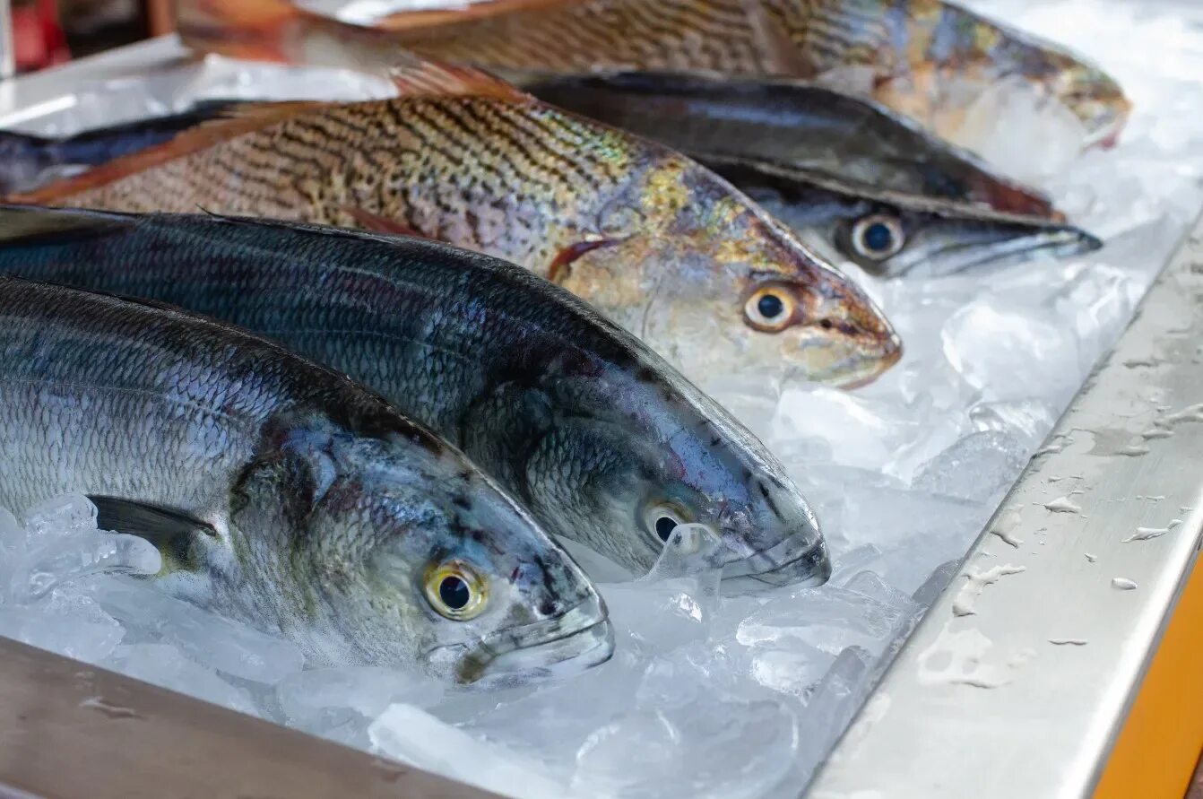 Оттаивание рыбы. Свежемороженая рыба. Рыба на рынке. Рыба заморозка.