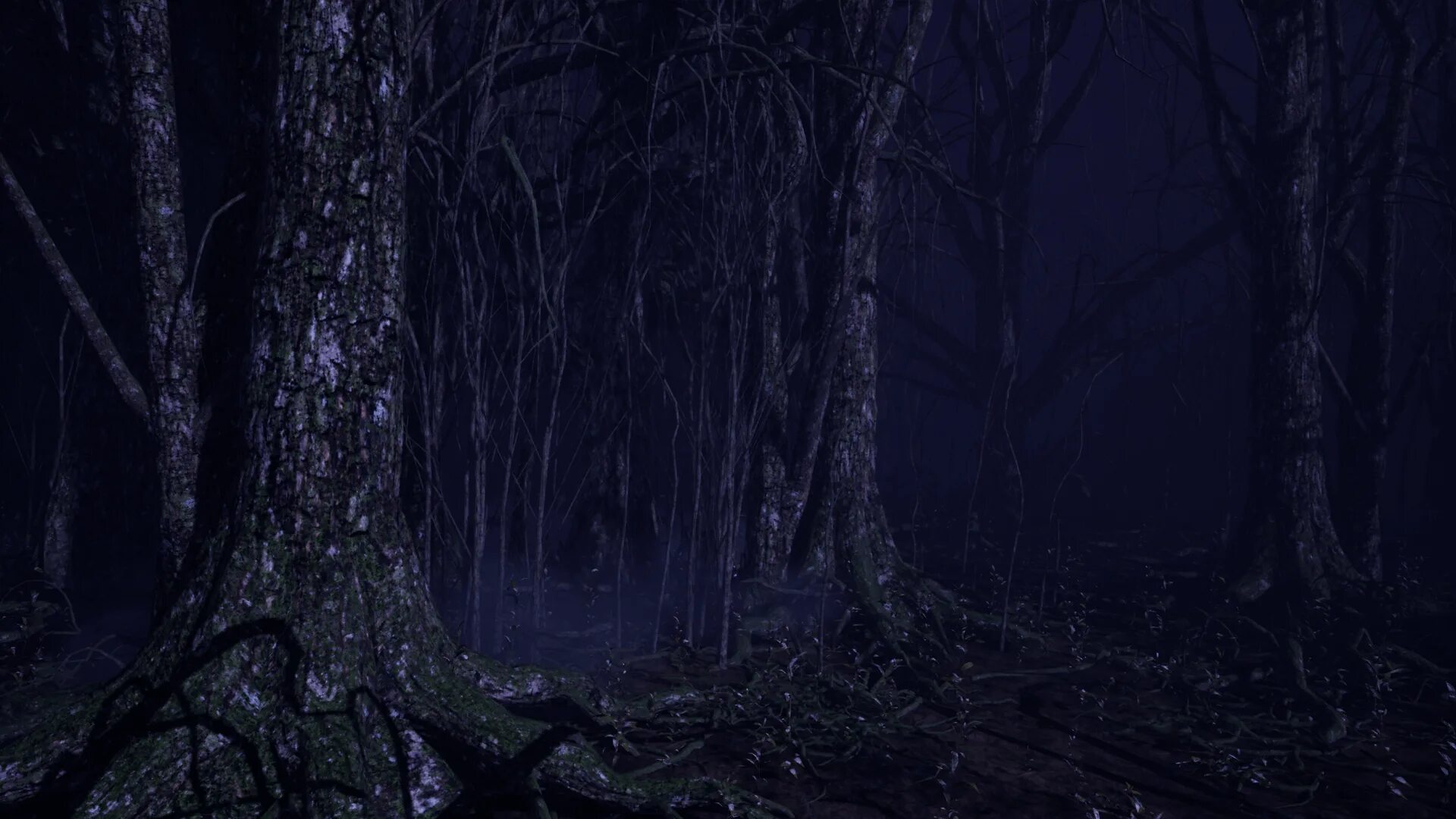 Мрачный лес. Темный лес. Мрачный фон. Темный лес арт.