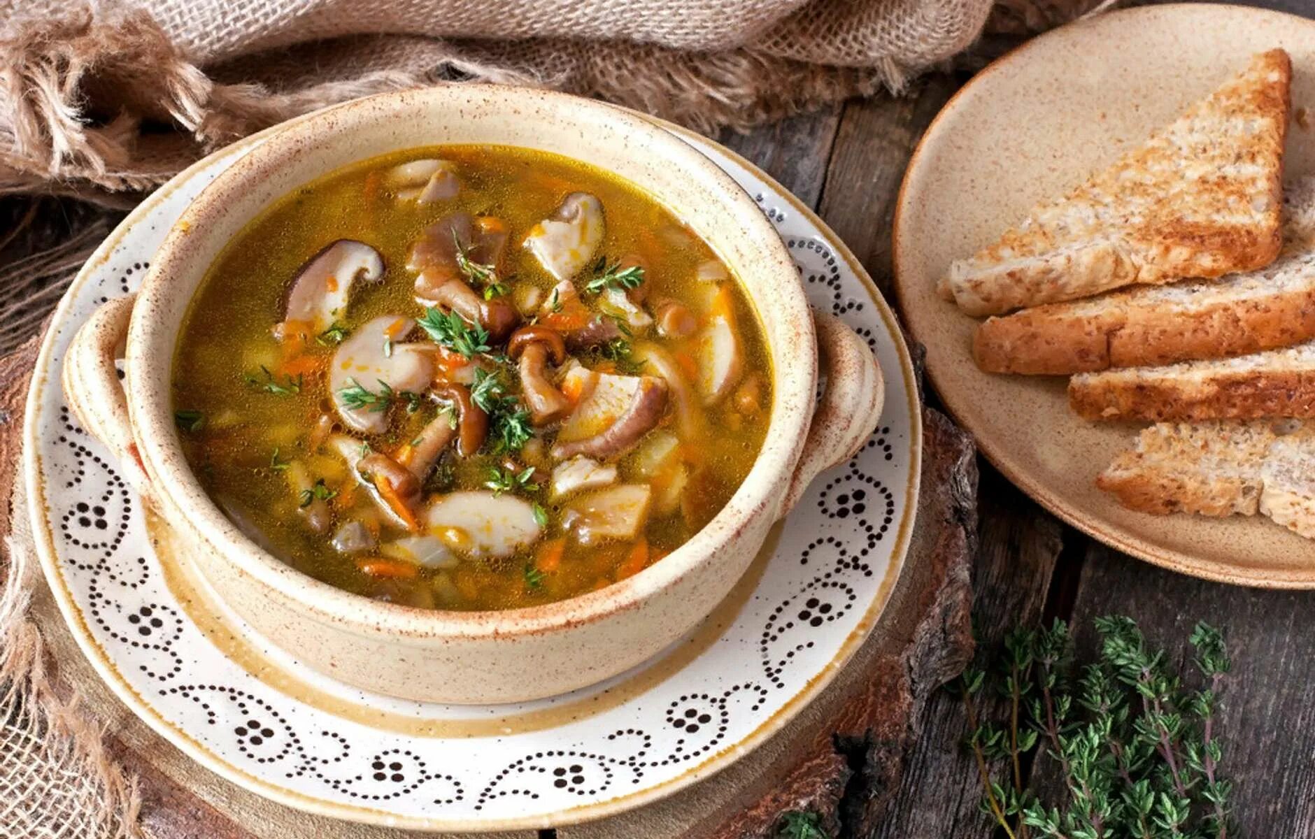 Постные первые блюда в пост. Грибной суп наваристый. Зуппа ди Фунги. Грибной суп «по-ленинградски». Первые блюда с грибами.