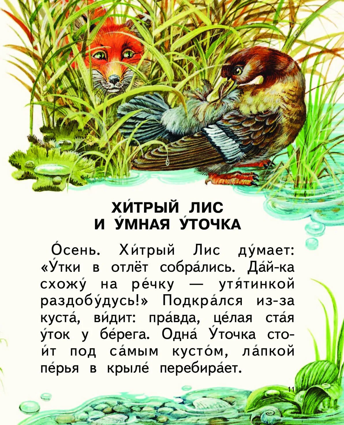 Хитрый лис и умная уточка читать. Хитрый лис и умная уточка бианки. «хитрый лис и умная уточка» иллюстрации. мастера без топора книга. рассказ хитрый лис и умная уточка.