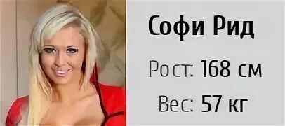 Софи рид. Софи Рид актриса. Софи Рид фото. Софи Рид фото 2023 дома.