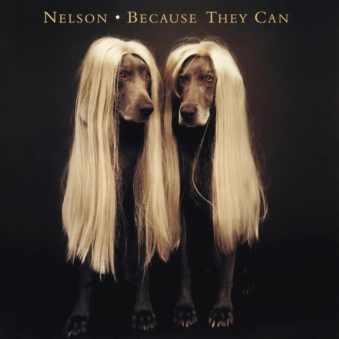 Because you could. Nelson can группа. Nelson - because they can. Обложки музыкальных альбомов. Обложки музыкальных альбомов современные.