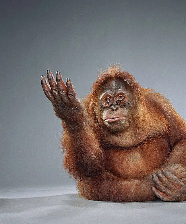 Афоризмы про деньги смешные. Деньги зло. Зла не хватает картинки. Зла не хватает картинки. Зла не хватает.