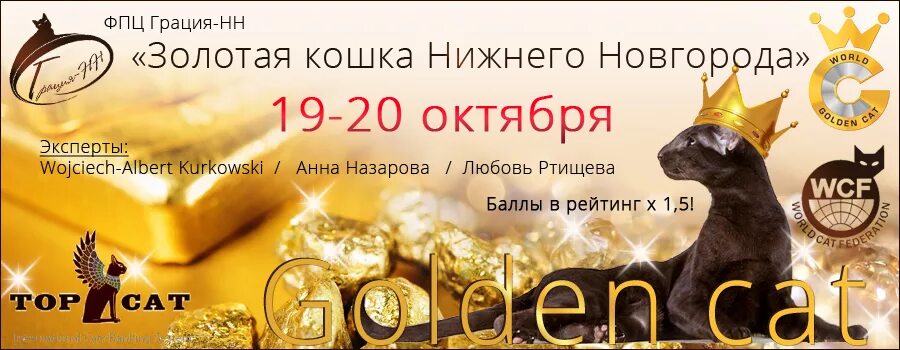 Товары для кошек нижний новгород. Выставка кошек Нижний Новгород 2022 расписание. Выставка кошек Нижний Новгород. Выставка кошек в Санкт-Петербурге 2022 расписание. Вывеска выставки кошек в Нижнем Новгороде 2012 год.