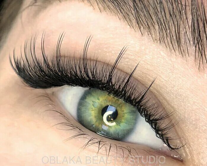 Лучи ким ресницы фото My Mink Lashes Training Academy MML on Johnson
