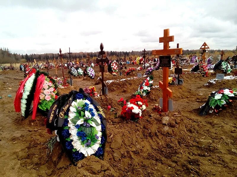 кладбища покойники