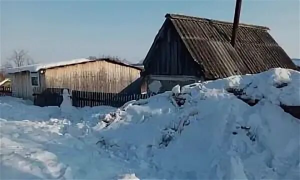 Погода на неделю целинное алтайского края. Еланда Алтайский край Целинный район. Поселок Дружба Алтайский край. С Шалап Целинного района Алтайского края. Посёлок Дружба Алтайский край Целинный.