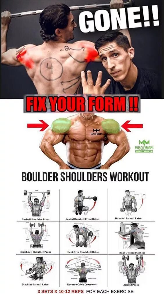 Figure and physique. Shoulder boulders. Shoulder boulders s3rl. План тренировок бодибилдинг. Shoulders vs traps workout.