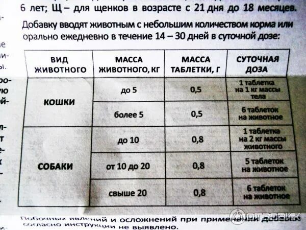 Витам дозировка для кошек. Димедрол собаке дозировка. димедрол таблетки для собак дозировка. димедрол таблетки собаке.