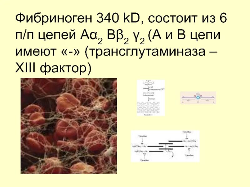 Где содержится фибриноген. Фибриноген биохимия. фибриноген формула. фибриноген из чего состоит. фибриноген 340%.