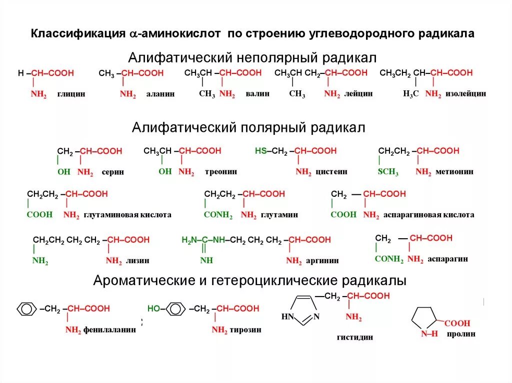 Аминокислоты строение и классификация. Классификация аминокислот алифатические ароматические. Классификация 20 аминокислот биохимия. Структурная классификация аминокислот.