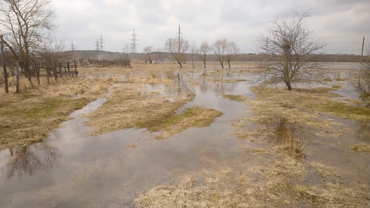 Река болва уровень воды. Брянск разлив реки Десна. Река Десна Трубчевск. Разлив воды в реке Десна в Брянске. Разлив Болвы.