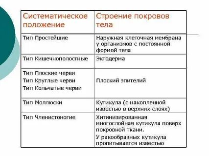 Какой покров тела у плоских червей