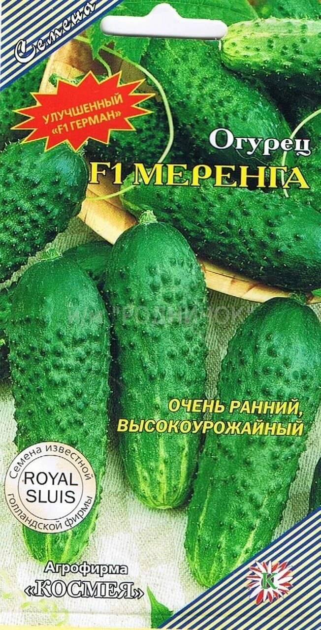 Меренга f1. Огурец Форсаж f1. Сорт огурца Форсаж f1. Огурец Форсаж f1 описание. Семена огурец Форсаж f1.
