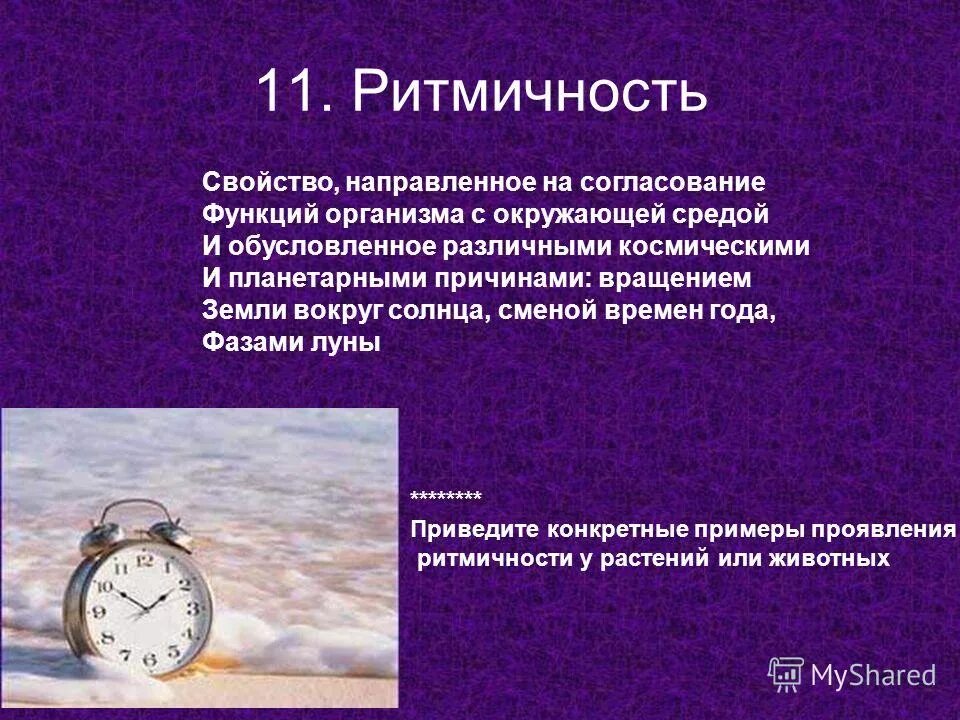 Ритмичность. Свойство организмов ритмичность. ритмичность свойство живого. ритмичность это в биологии. ритмичность характеристика.