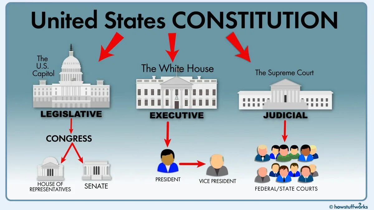 Structure corruption. Схема правительства США. Исполнительная ветвь власти. Ветви правительства США. Ветви власти.