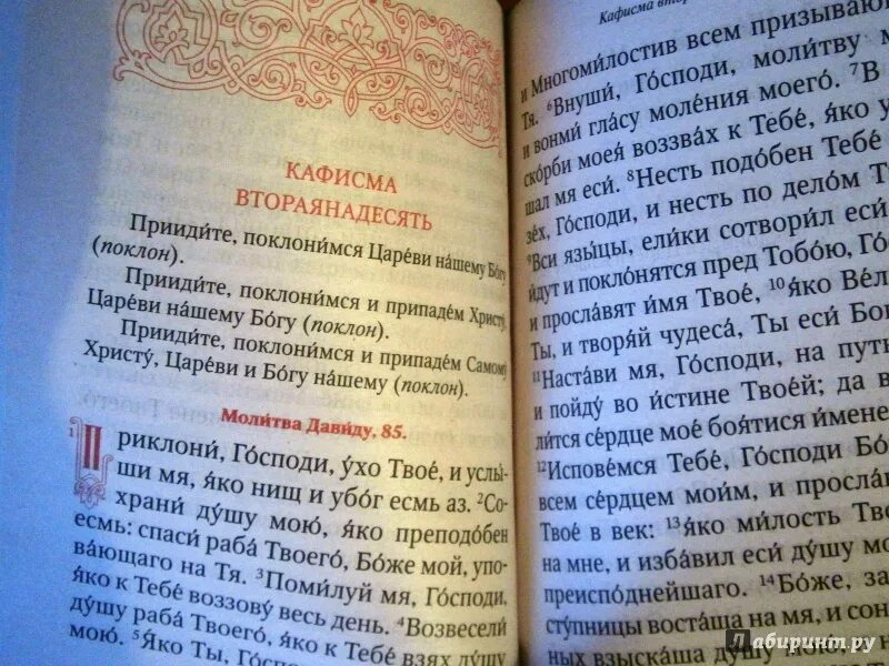 Послом 40. Придите и Поклонимся молитва. Приидите Поклонимся молитва. Молитва придите и Поклонимся текст. Псалтирь чтомая по усопшим.