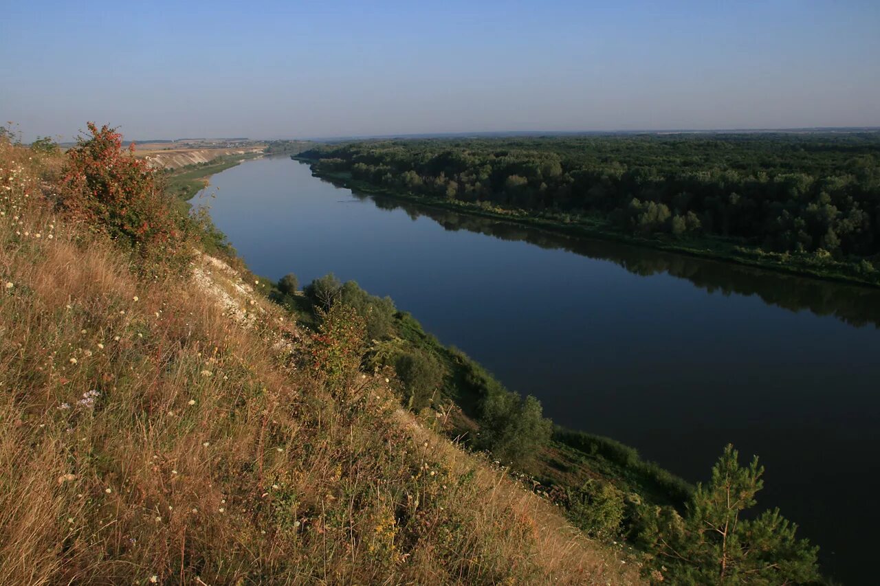зеленый остров ростов с высоты птичьего полета. устье реки дон. кривоборье воронежская область рек. павловск воронежская область река сережа. левая богучарка река воронежская область.
