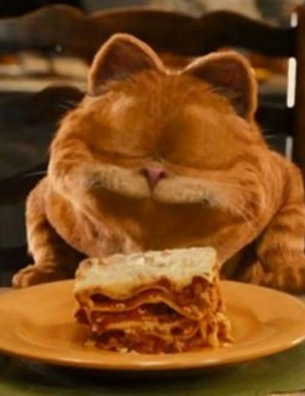 Рыжий кот из фильма. Кот гарфилд и лазанья. Любимое блюдо гарфилда. Гарфилд и лазанья. Гарфилд фильм.