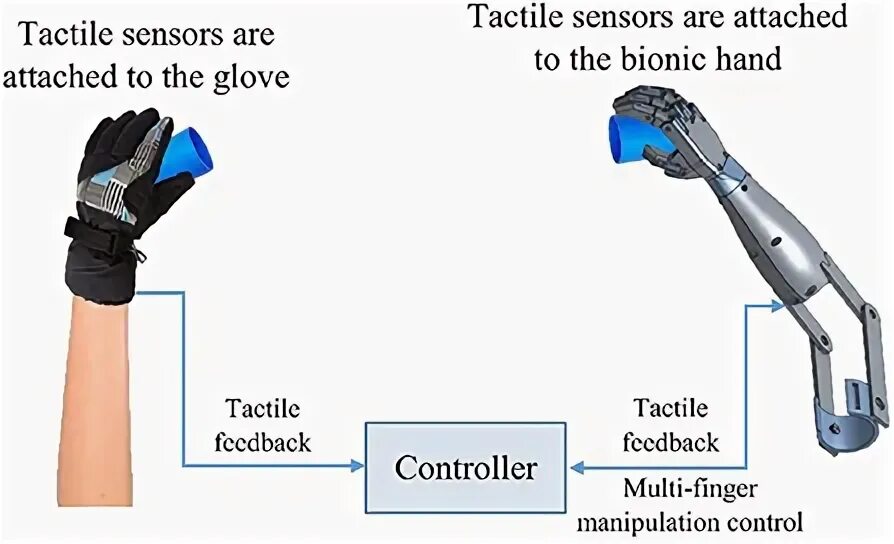Tactile sensor. Tactile sensor