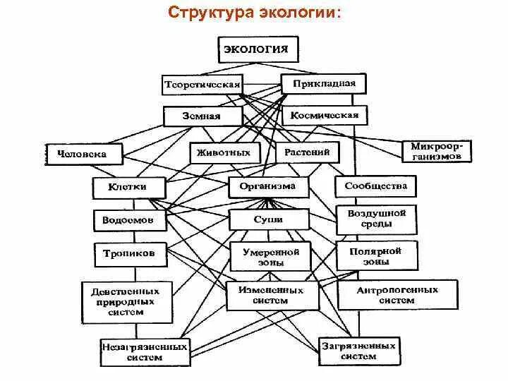 Структура современной экологии по Реймерсу. Структура современной экологии схема. Структура экологии кратко. Упрощенная схема структура экологии.