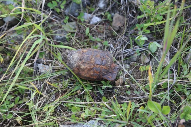 Погода ильинке республика алтай. Ильинка Алтайский край Шебалинский район. Листок Республика Алтай. Среди картошки нашли гранату.