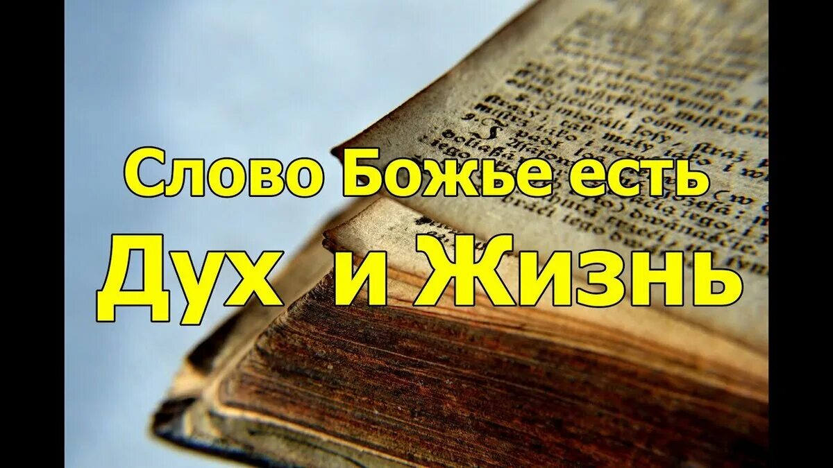 Божие слово слово святое. Слово Божье. Евангелие «слово Божие». Библия слово Божье. Картинки с божьими словами.