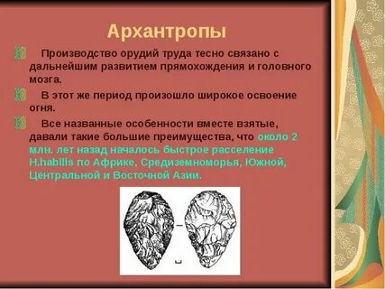 Какие особенности строение и образа жизни